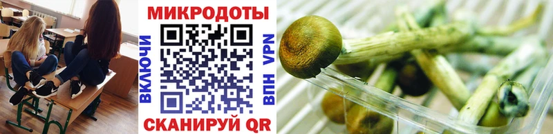 Псилоцибиновые грибы мухоморы Ухта